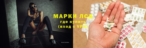 шишки Баксан