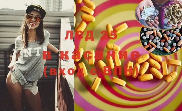 шишки Баксан