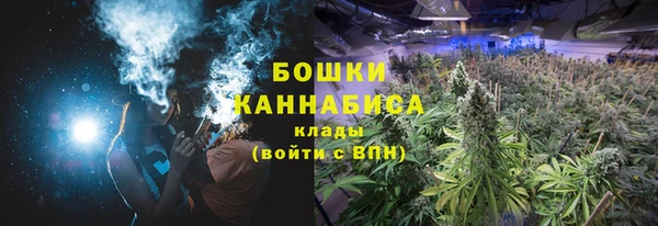 шишки Баксан