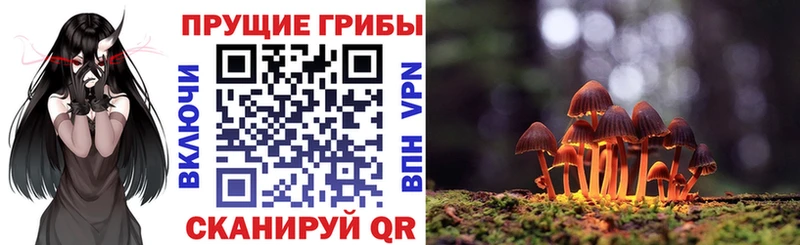 Галлюциногенные грибы Magic Shrooms  Лебедянь 